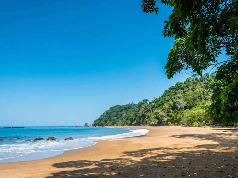 Freilassung von Meeresschildkrötenbabys in Bahía Solano