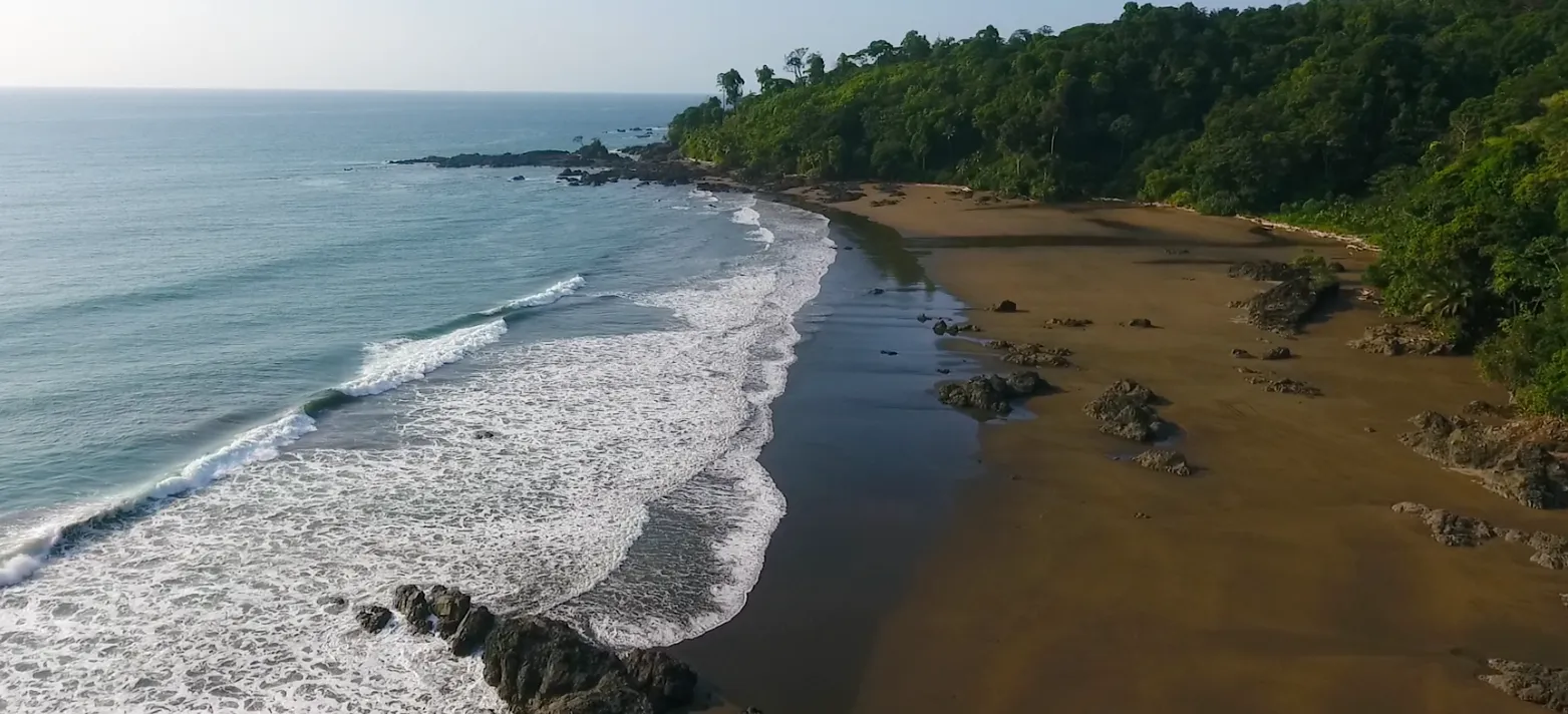 Freilassung von Meeresschildkrötenbabys in Bahía Solano