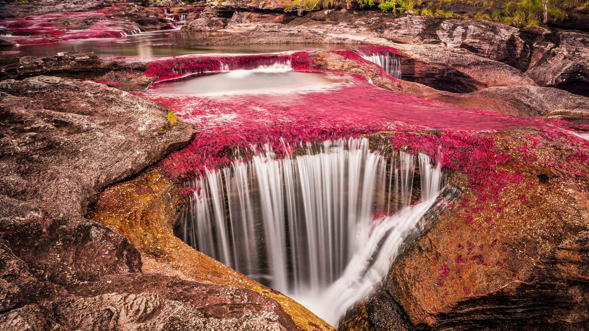 Caño Cristales